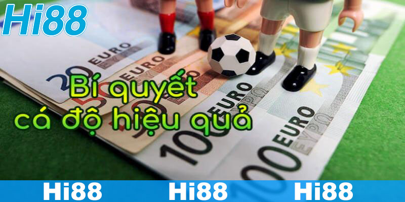 Tổng Hợp Các Thủ Thuật Cá Độ Bóng Đá Đỉnh Cao Bạn Nên Biết 3 Các thủ thuật cá độ bóng đá chất của cao thủ