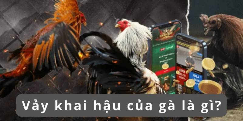 Vảy khai hậu tốt hay xấu và những điều cần biết khi cá độ 1 vay-khai-hau